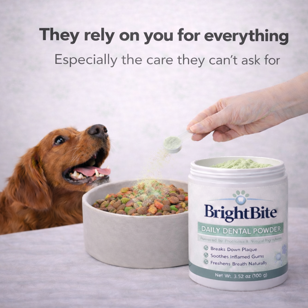 BrightBite Dental Powder