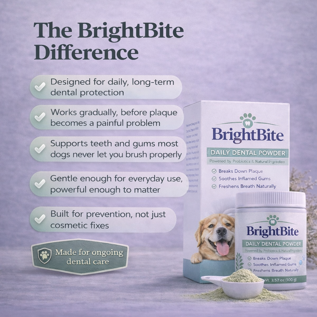 BrightBite Dental Powder